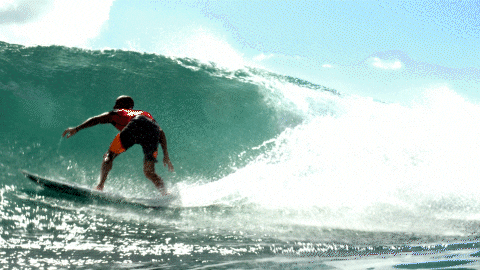 Pro Surfer GIFs - Get the best GIF on GIPHY