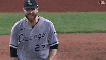 Lets Go Sport GIF by Chicago White Sox
