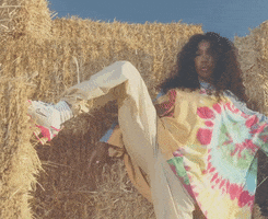 Hay Bale GIF by SZA