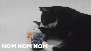 Tamadori Collection GIF