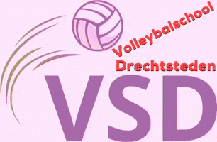 Volleyball GIF by sliedrechtsport