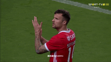 Sl Benfica Clap GIF by Sport Lisboa e Benfica