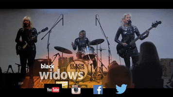 Black Widow Surf GIF by White Wall Sessions