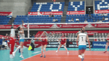 Run Argentina GIF by Volleyball World