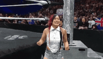 Wwe GIF