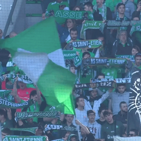 Geoffroy-Guichard Football GIF by AS Saint-Étienne