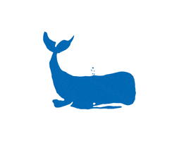 Entdecke das Blaue in Dir. GIF