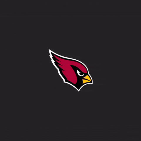 Red Sea Jordan GIF by Arizona Cardinals