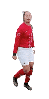 Haarlem Sticker by DSS Voetbal