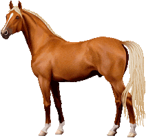 Garresi Sticker by unotre