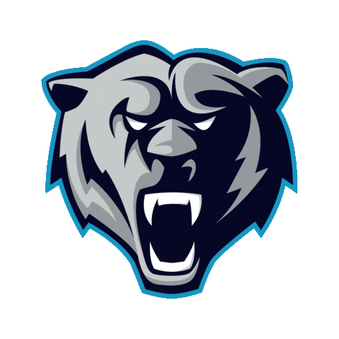 EHC DIE BAEREN 2016 EV Sticker