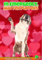 Valentines Day Love GIF by PetJuvenate - PJ