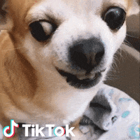 200.gif?cid=fc005b087b289f36fcf326506c0d095d8f4a4b8e08d93dcf&rid=200.gif&ct=g