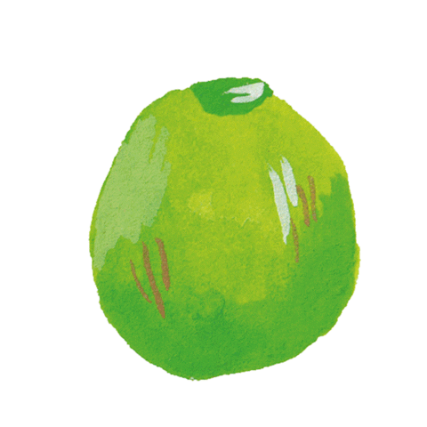 Coco Bali Sticker by Camille Florès