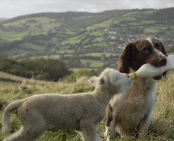 200.gif#77