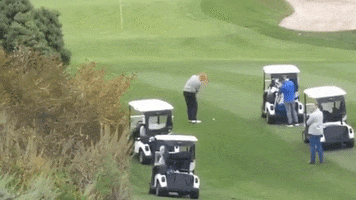 Donald Trump Golf GIF
