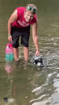 Adorable Pomeranian Dressed Like Baby Shark Swims for First Time