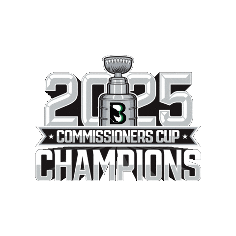 Black Bears Sticker by Binghamton Black Bears