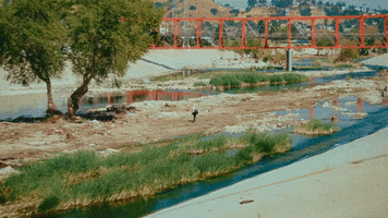 Lonely Los Angeles GIF by Local Natives