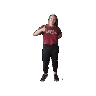 Sense of Travel Sticker