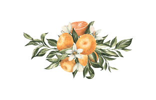 Sticker by Dolce Tangerina