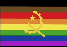 solange_algala gay lgbt flag lgbtq GIF