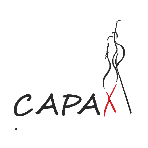 Dance Cat Sticker by CAPAX... tanec na MAX