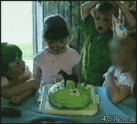 853 Throwing Cake Bilder und Fotos - Getty Images