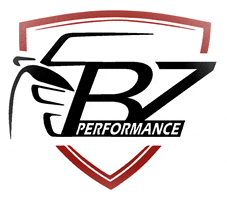 bzperformance performance auto software tuning GIF