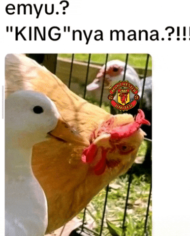 Manchester United Mu GIF