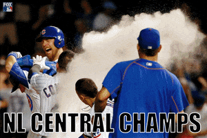 celebrate chicago cubs GIF by FOX Sports: Watch. Enjoy. Repeat.