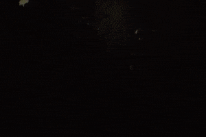 Animation GIF