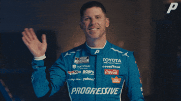 Dennyhamlin GIF by Progressive