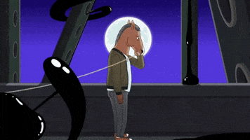 Will Bojack Horseman GIF