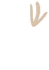 Arrow Sticker by Relyef pottery tools