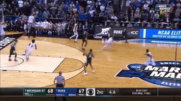 Duke GIF