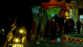 ringling bros elephants GIF by Ringling Bros. and Barnum & Bailey