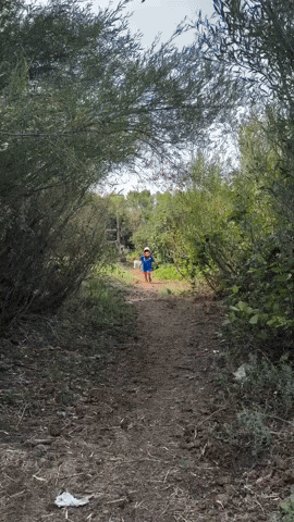 Arman is runnig away