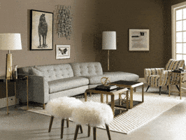 Furniture GIF
