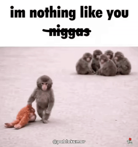 Punch Notlikeyou GIF