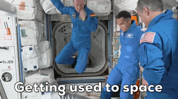 200.gif?cid=fc005b08571723c712b280c68d375cdc571dac46bd3e641d&rid=200.gif&ct=g
