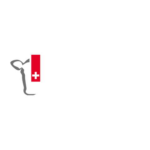beefch Sticker