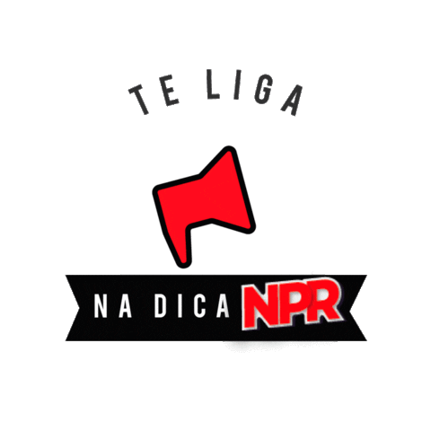 nprcar Sticker
