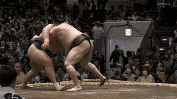 Sumo GIF