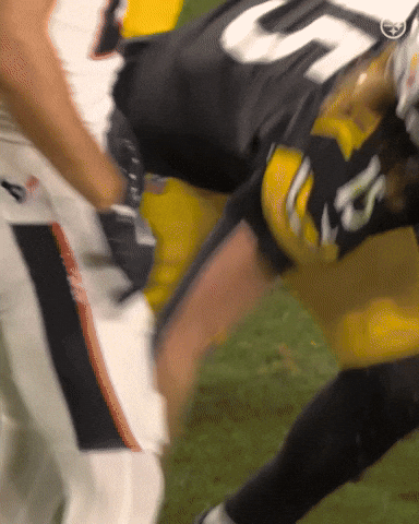 Excited Celebration GIF by Pittsburgh Steelers