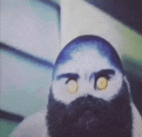 Folk Cat GIF
