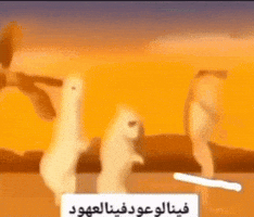 What GIF