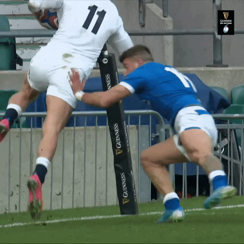 May World Rugby GIF by Guinness Six Nations