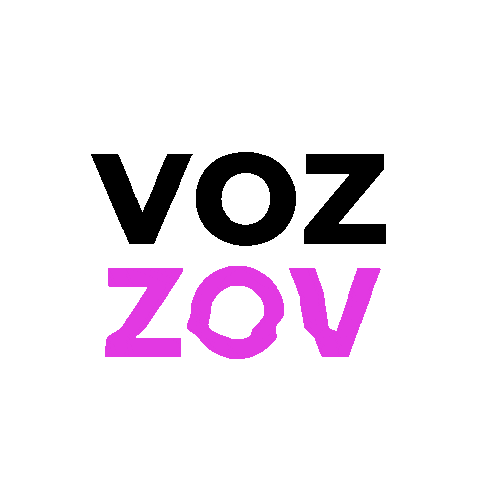 ZOV Sticker