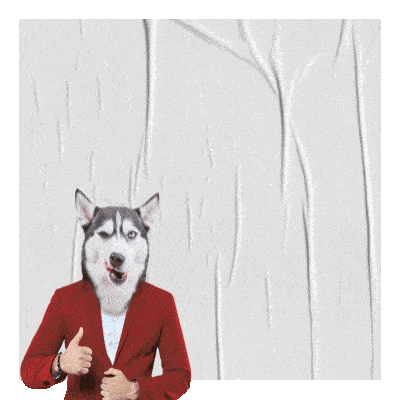 Arca publicidad GIF